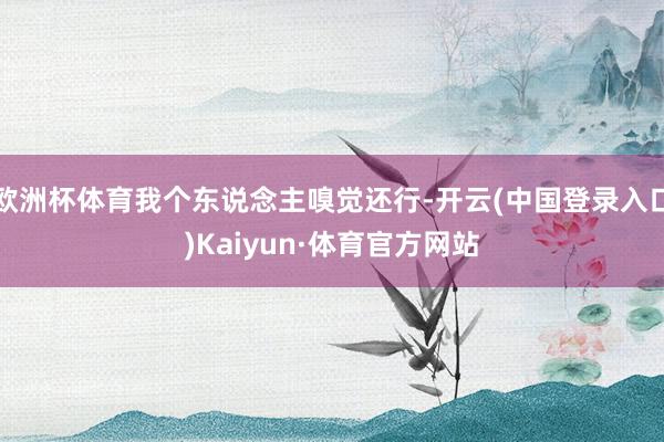 欧洲杯体育我个东说念主嗅觉还行-开云(中国登录入口)Kaiyun·体育官方网站